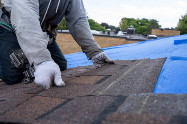 Roof Installation Near Me in Norlina, NC