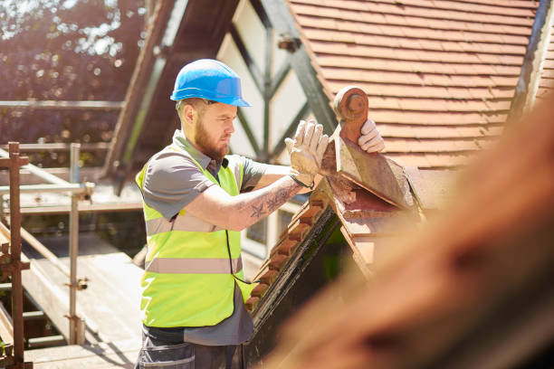 Best Roof Restoration Services  in Norlina, NC